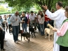Blessing of the Animals 2011 1